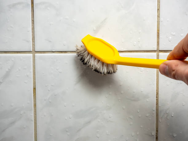 Professional Mold Remediation in Moberly, MO